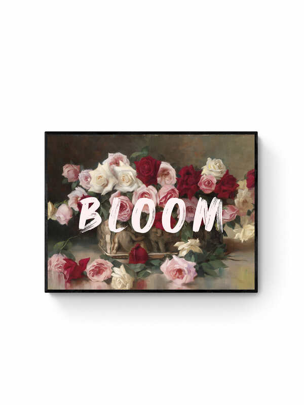 Bloom